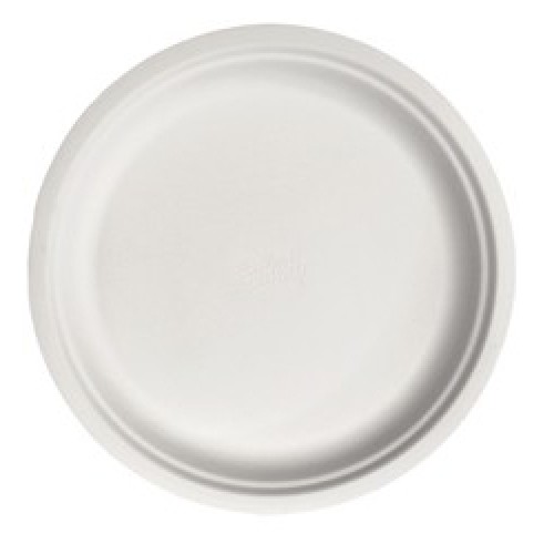 Heavy Duty Paper Plate (Pack of 10)